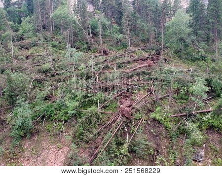 Downed Trees In Spearfish Canyon After Tornado Lands In Forest Drone Photo