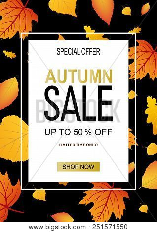 Autumn Sale Vector Banner Template With Frame And Sale Text In Fall Season Leaves Background For Sea