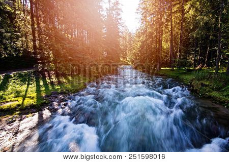 Mountain Stream In Koscieliska Valley. Polish Tatra Mountains. Zakopane, Poland