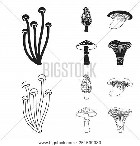 Morel, Oyster, Green Amanita, Actariu , Indigo. Set Collection Icons In Black, Outline Style Vector 