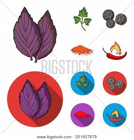 Ptrushka, Black Pepper, Paprika, Chili.herbs And Spices Set Collection Icons In Cartoon, Flat Style 