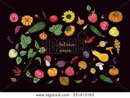 Autumn Seasons Background. Vector Color Illustration With Hand Drawn Branches And Leaves. Sketch, De