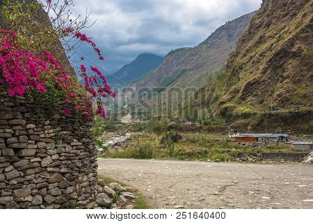 Bright Pink Flowers On A Background Of Sky And Mountains, Nepal.