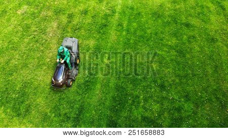 Gardener Cuts Lawn With A Lawnmower In A Park