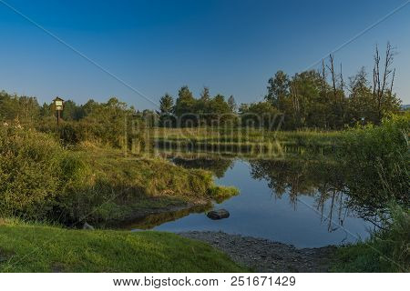 Tepla Vltava River In Summer Morning In National Park Sumava