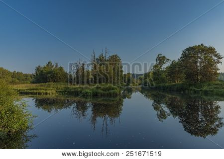 Tepla Vltava River In Summer Morning In National Park Sumava