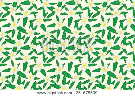 Floral Seamless Pattern. Hawaiian Plumeria Flower And Leaves Seamless Pattern. Floral Print. White B