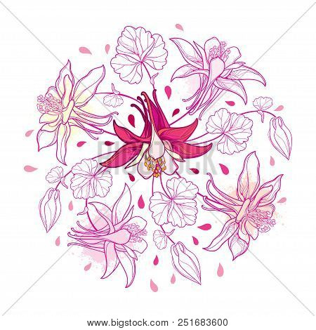 Vector Round Bouquet With Outline Aquilegia Or Columbine Flower, Bud And Leaf In Pastel Pink Isolate