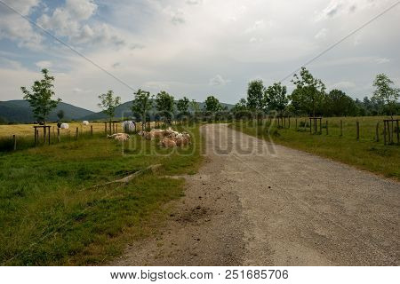 The Road To Santiago As It Passes Through Burguete