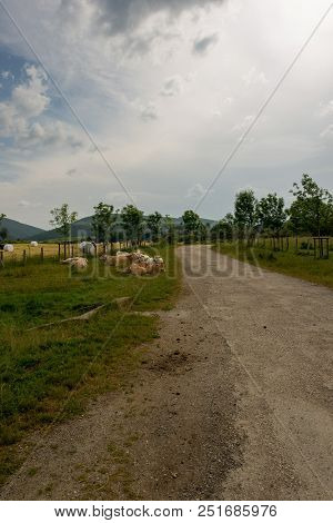 The Road To Santiago As It Passes Through Burguete