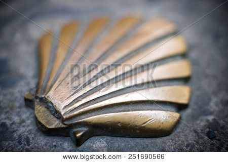 Santiago shell close up in Jaca, Huesca, Aragon, Spain.