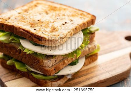 Healthy Homemade Vegetarian Veggie Sandwich With Lettuce, Avocado, Cheese.