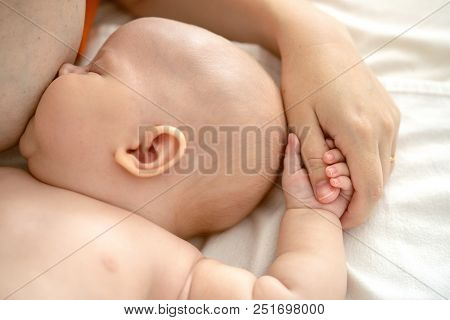 Newborn Baby To Breastfeed Mom Holding Her Hand. Tenderness And Infancy.