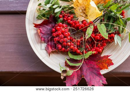 Composition Of Autumn Berries, Leaves And Fruits On A Dark Wooden Background