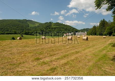 The Road To Santiago Between Roncesvalles And Zubiri