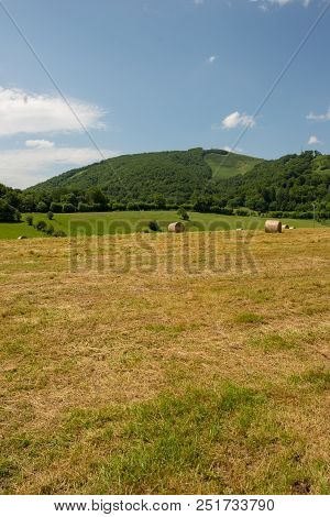 The Road To Santiago Between Roncesvalles And Zubiri