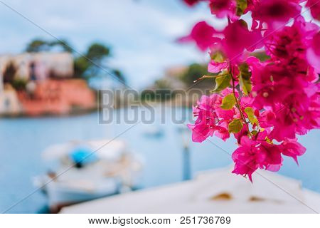Kefalonia Greece Assos Village. Magenta Fuchsia With Blurred Fishing Boat In Tranquil Bay In Backgro