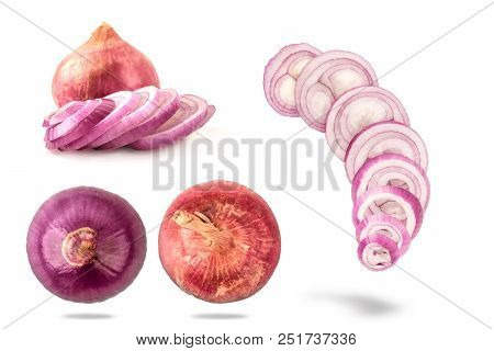 Onion White Isolated Back Ground, Cut ,slide
