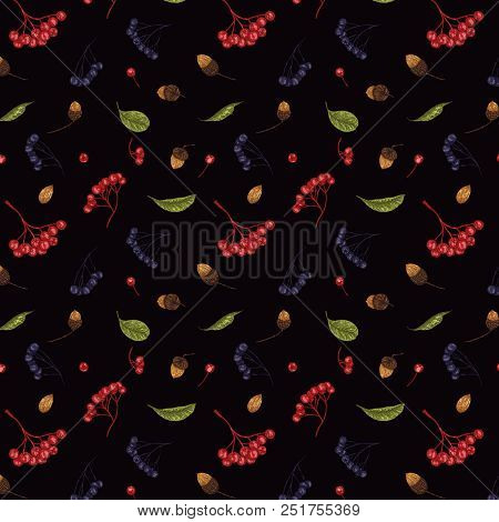 Autumn Vector Seamless Pattern Of Leaves And Berries On Black Background. Detailed Hand Drawn Floral