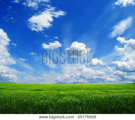 Gröna fält och blå himmel