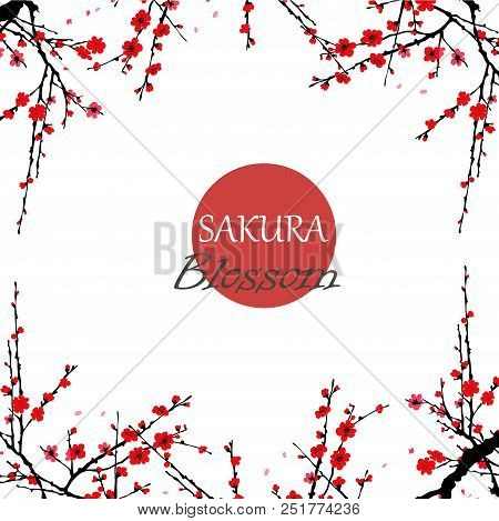 Realistic Sakura Blossom - Japanese Cherry Tree Isolated On White Background.