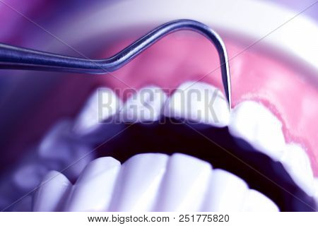 Dentist Cleaning Teeth
