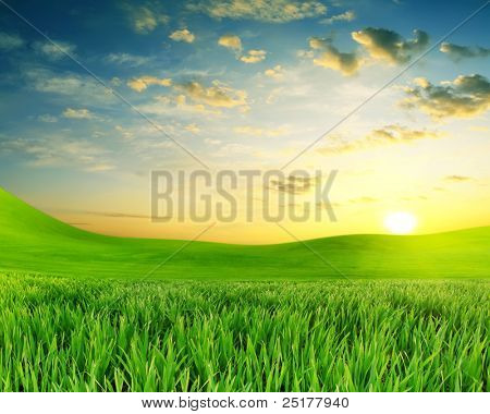 緑の草、背景に美しい夕日