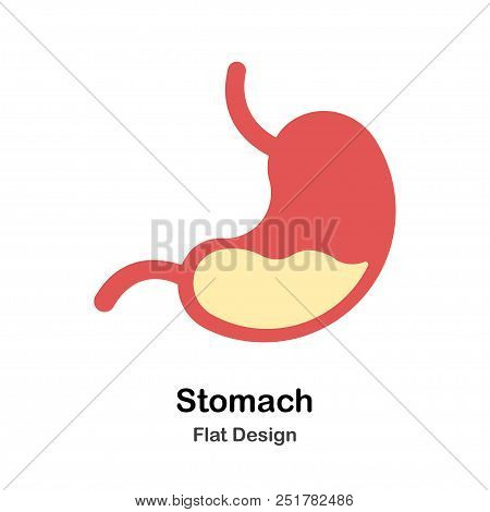Human Stomach In Flat Vector Illustration Design Icon