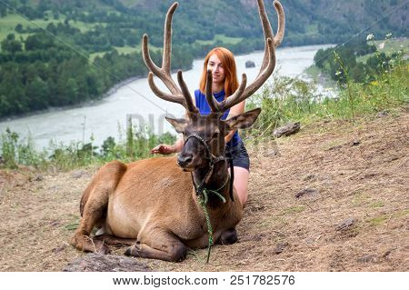 A Young Red-haired Girl Dressed In Sports Clothes Stroking The Horns And Skin Of A Deer Maral Who Li