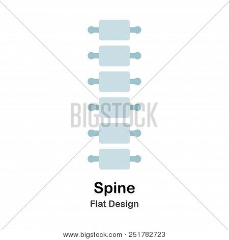 Human Spine In Flat Vector Illustration Design Icon