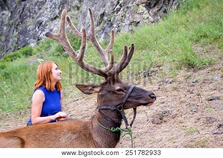 A Young Red-haired Girl Dressed In Sports Clothes Stroking The Horns And Skin Of A Deer Maral Who Li