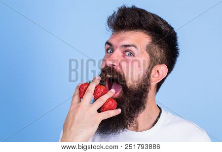 Man Beard Hipster Strawberries Fingers Blue Background. Mostly Carbohydrates Sucrose Fructose Glucos