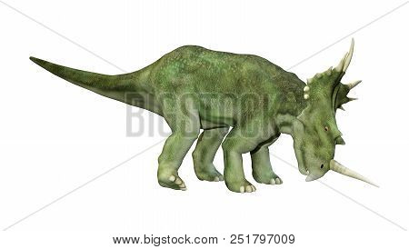 3D Rendering Dinosaur Styracosaurus  On White
