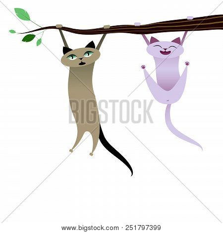 Funny Cats Hanging From Tree Branch. Vector Illustration
