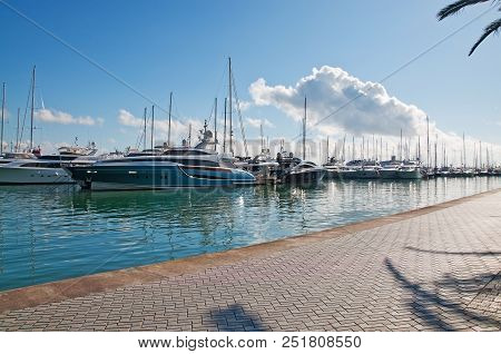Luxury Yachts Moored Along The Paseo Maritimo