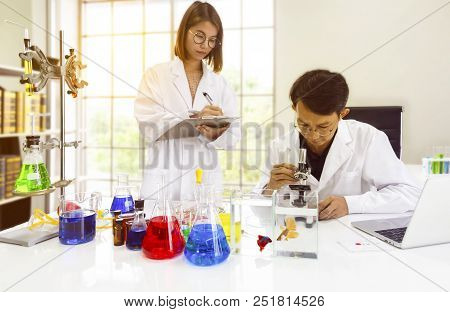 Asian Scientists Or Researcher Are Study And Research With Siamese Fighting Fish Or Betta Splendens 