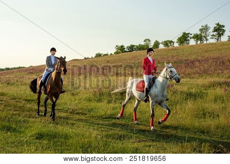 Horseback Riders. Two Attractive Women Ride Horses On A Green Meadow. Horse Riding. Horse Racing. Ri