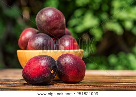Close Up Fresh Plumcot, Interspecific Plums Variety In Wooden Bowl On Wooden Table. Selective Focus,