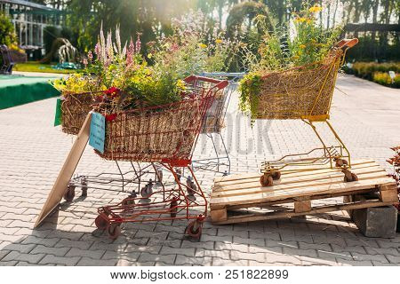 Two Shopcarts With Flowers Outdoor At Summer