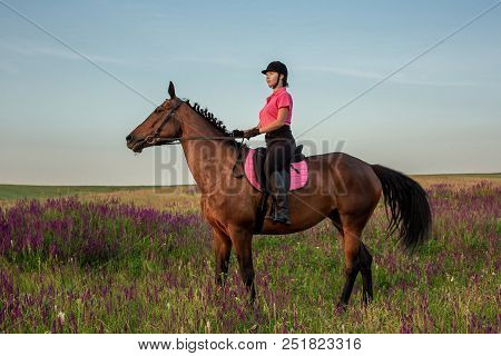 Horsewoman Jockey In Uniform Riding Horse Outdoors. Sunset. Horseback Riding. Competition. Hobby