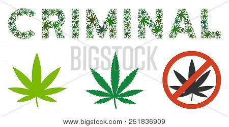 Criminal Text Collage Of Cannabis Leaves In Variable Sizes And Green Tints. Vector Flat Cannabis Lea