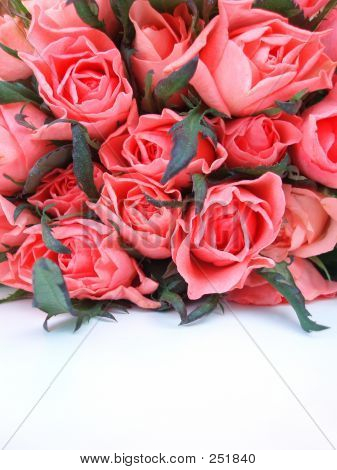 Mazzo di rose rosa
