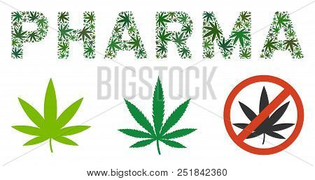 Pharma Label Composition Of Hemp Leaves In Different Sizes And Green Shades. Vector Flat Weed Leaves