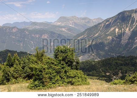 View Of The Juniper Which Grows On The Edge Of The Abyss And The Mountains In A Summer, Sunny Day (r