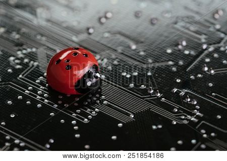 Computer Bug, Failure Or Error Of Software And Hardware Concept, Miniature Red Ladybug On Black Comp