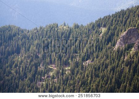 mountain view with green firs, Tibles,  Romania