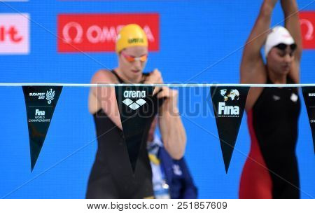 Budapest, Hungary - Jul 25, 2017. Arena Logo On The Backstroke Indicator. Emily Seebohm (aus) And Ma