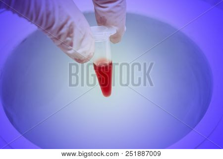Blood Sample For Long-term Storage. Liquid Nitrogen Bank Storage