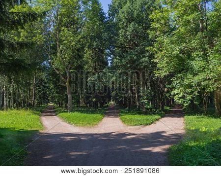 The Junction, Three Forest Roads Converge Into One