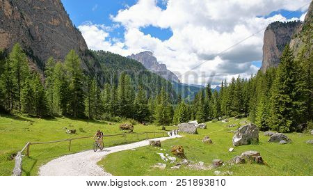 Val Gardena, Italy - June 25, 2018: A Mountain Biker Cycling Along Vallunga Valley Above Selva